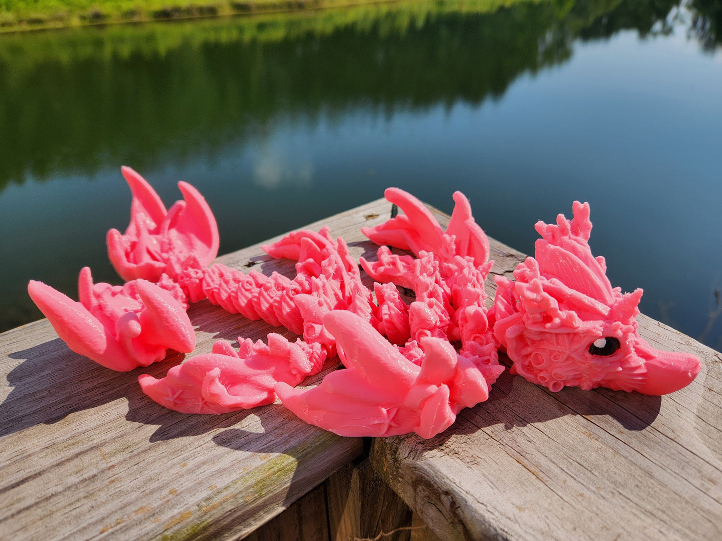 Dragon - Coral Reef